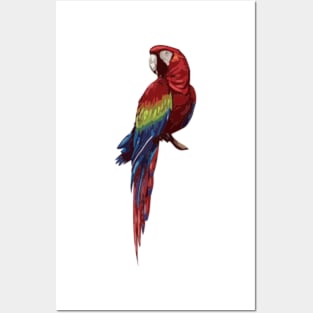 Scarlet Macaw Digital Painting Posters and Art